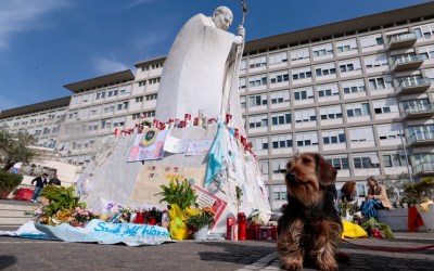 Papa Francisco Reaparecerá Após Internação Urgente!