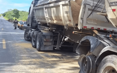 Gado solto na pista provoca acidente e interdição de rodovia em Bambuí; dez animais morreram atropelados